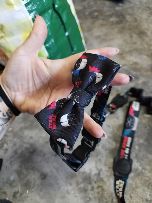 Conjunto zeedog cão médio