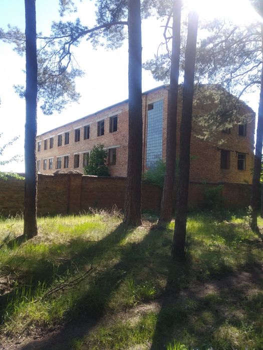 Комерційна нерухомість