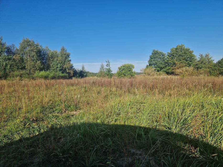 Działka budowlana 20 arów  z WZ Grąsy gm.Dobiegniew