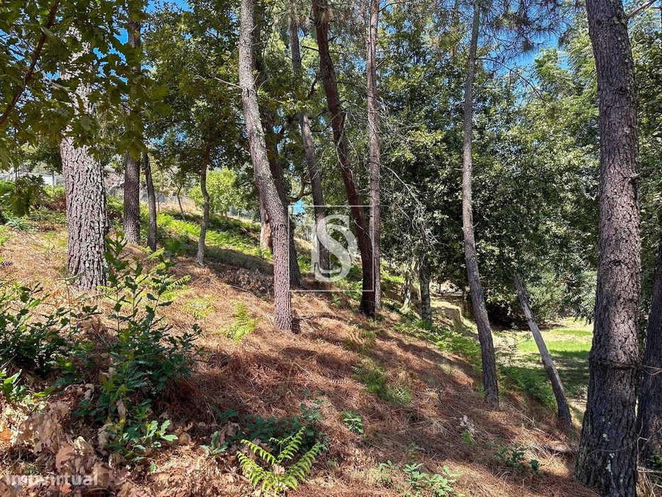 Terreno  Venda em Lufrei,Amarante