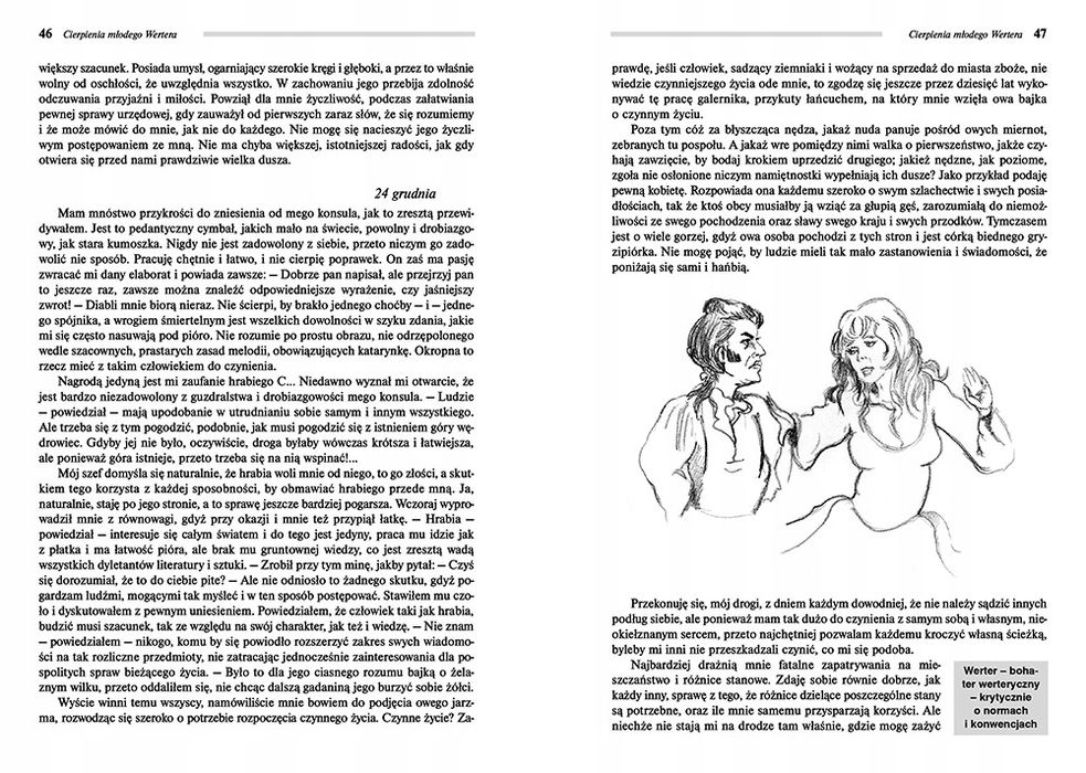 Cierpienia Młodego Wertera Johann Wolfgang Goethe 8333
