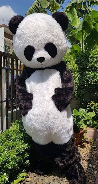 Aluguer de Fatos de Mascotes - PANDA, MICKEY, MINNIE - animação festas