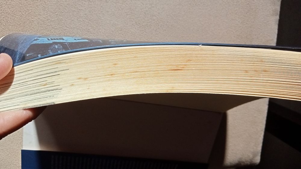 Livro de Paulo coelho