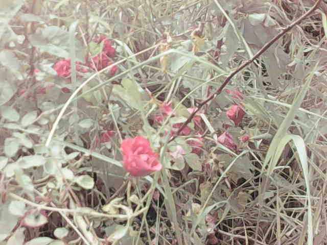 Камера мини видеонаблюдения Wi-Fi, мини IP камера.