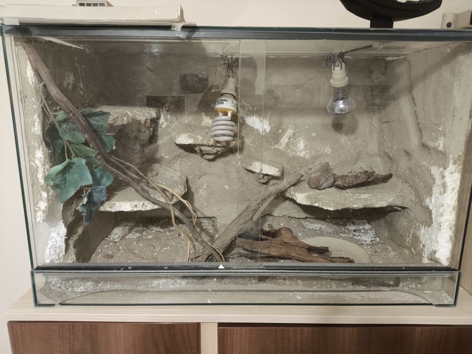 Terrarium 80x40x50 z wyposażeniem