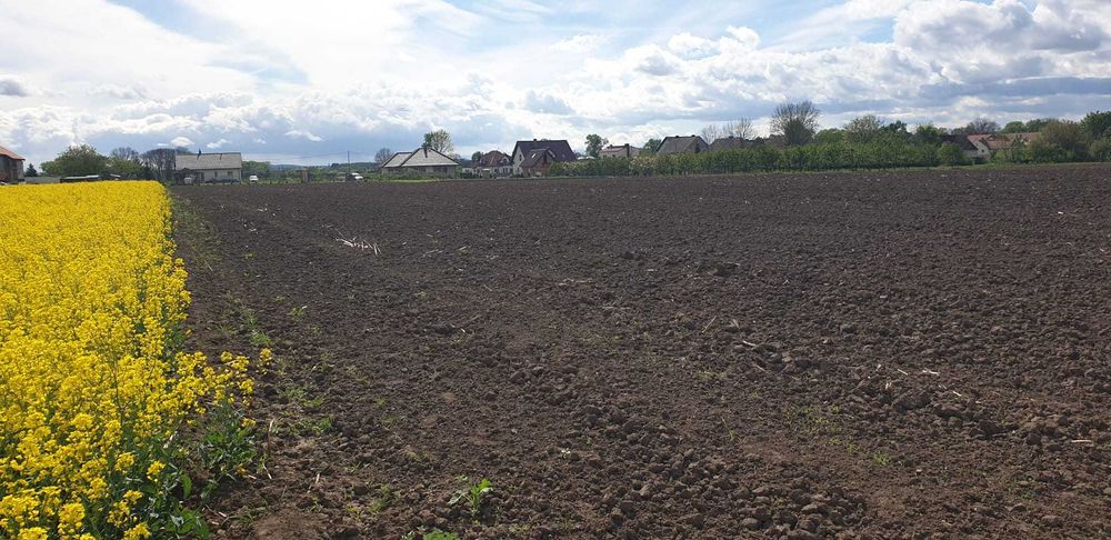 Działka budowlana - Widok 4