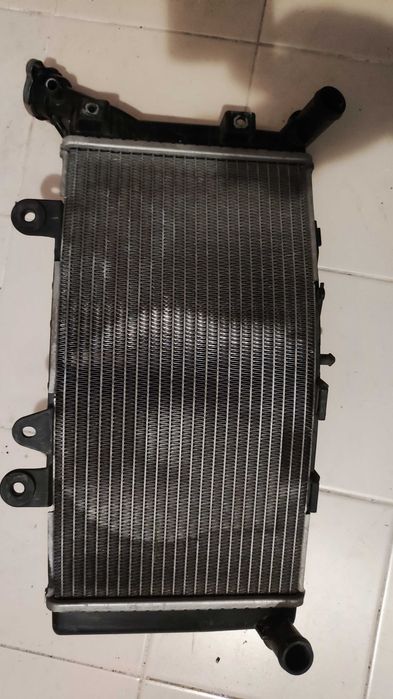 Radiador BMW F850GS