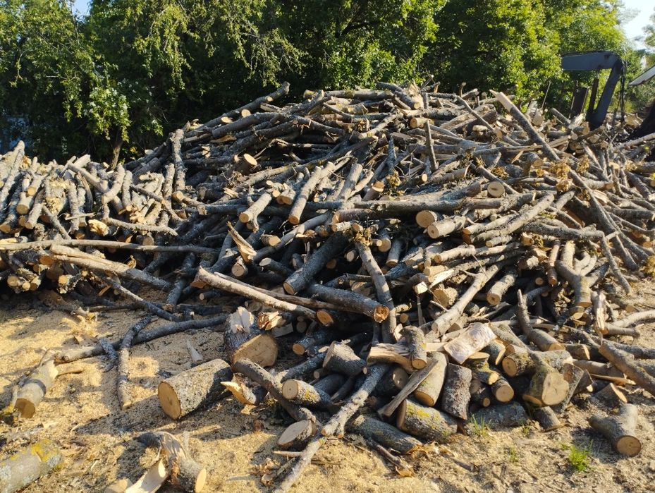 Drewno opałowe buk dąb klon brzoza sosna świerk