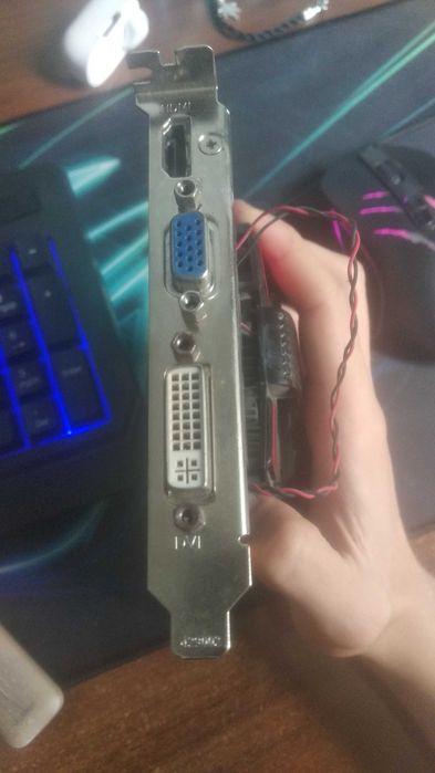 Видеокарта asus gt440 1gb ddr3