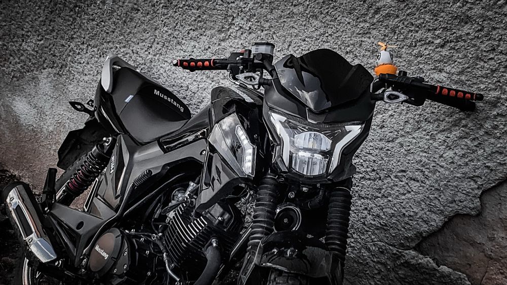 Mustang region 150 2024р