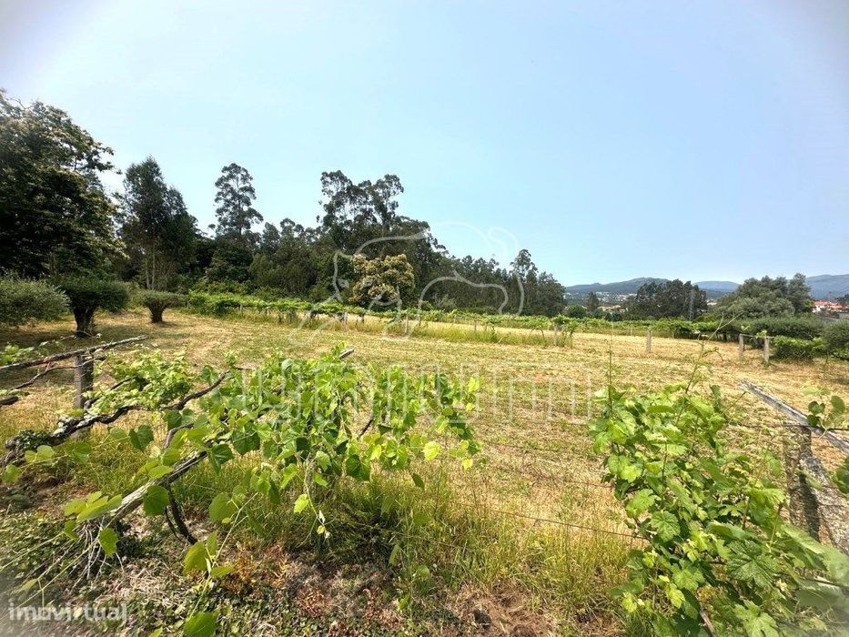 Terreno Agrícola - Vila Franca