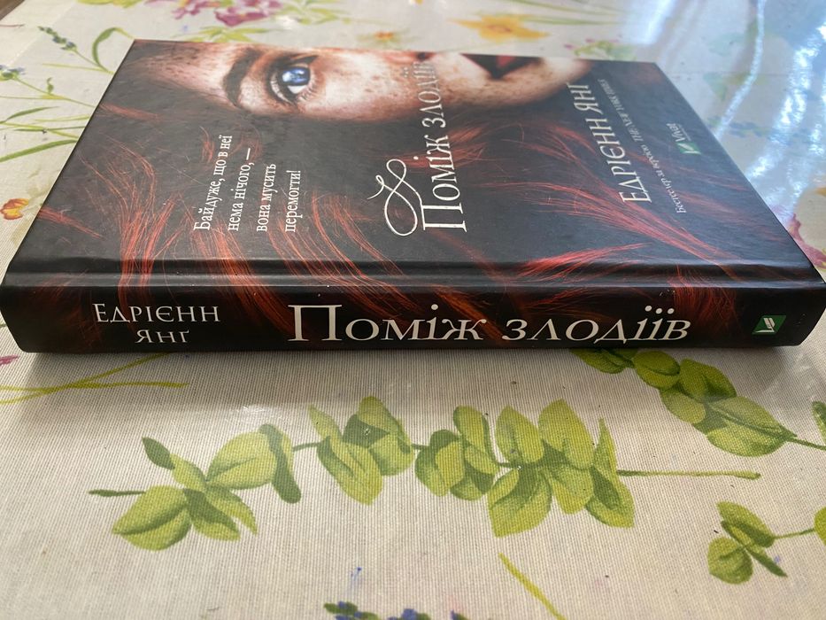 Книга : Поміж злодіїв