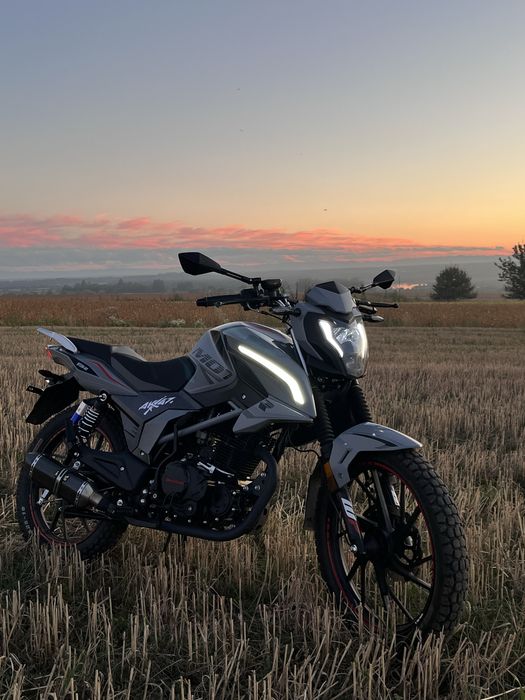 Musstang Region 250-9R