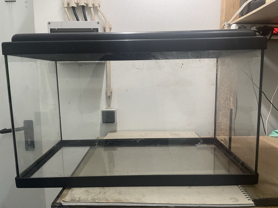 Aquario 55L mais filtragem