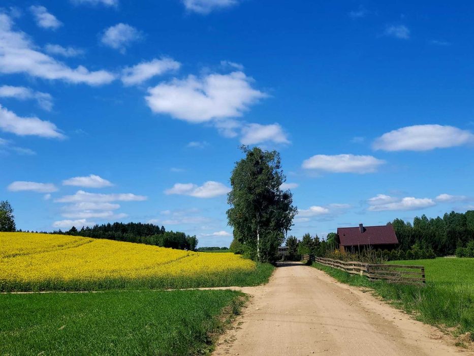 Domki letniskowe,jezioro,las,łowisko,cisza,wędkowanie