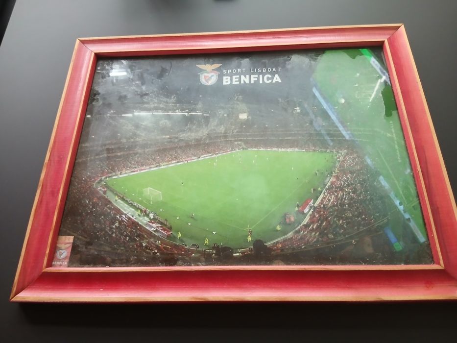 Quadro..DO..BENFICA