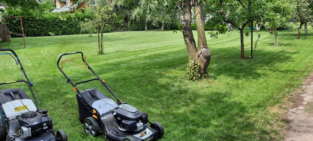 Koszenie trawników, nieużytków, karczowanie działek ,mielenie gałęzi