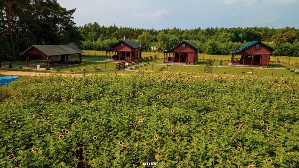 Domek drewniany z kominkiem, SAUNA