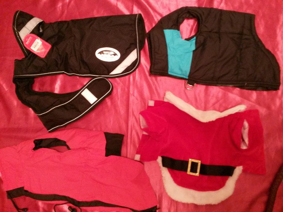 Одежда для собак