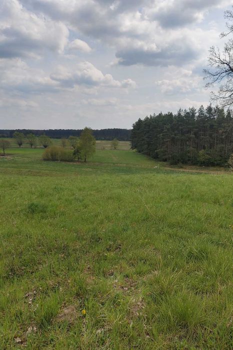 Działka usługowa 85 arów z widokiem – Dolina Baryczy / Milicz