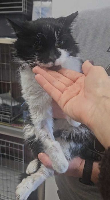 Cichutki aniołek skazany na śmierć — LUSIA