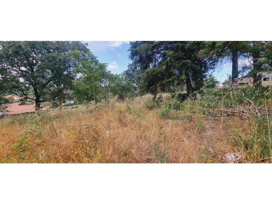 Terreno Venda Leiria