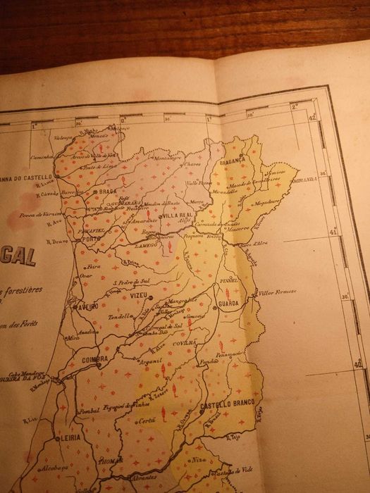 Mapa Portugal - Distribution des essences forestiéres dominantes