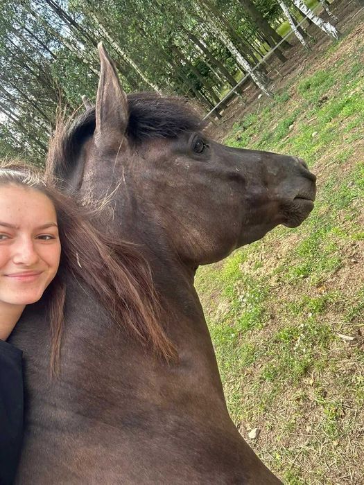 Klacz huculska po Azja-W hucuł