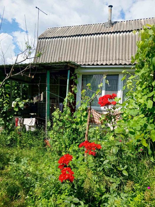 Продається дача в Барашівському масиві (Житловик)