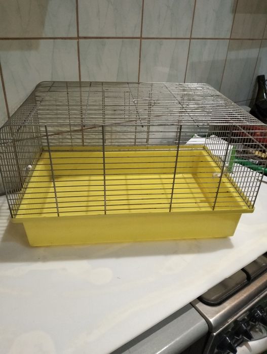 Klatka dla królika gryzoni