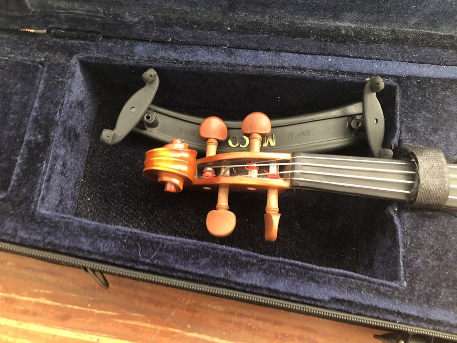 Violino com cordas de violeta