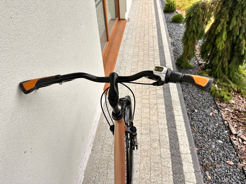 Rower PANTHER - koła 28, aluminiowy, Nexus 8b, kontra, 2x amor, prądnica