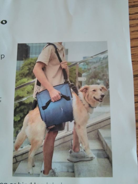 Torba, chusta do ponoszenia psa