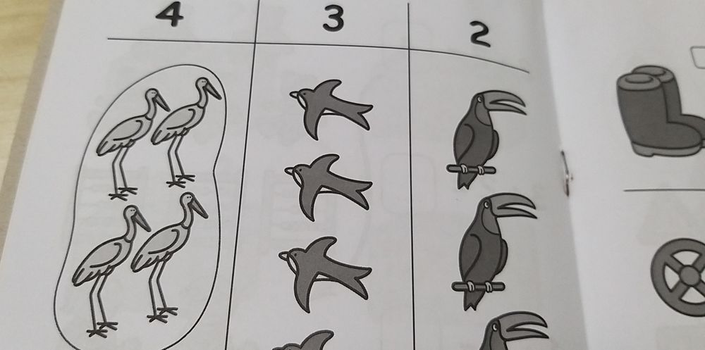 O meu primeiro livro de atividades.