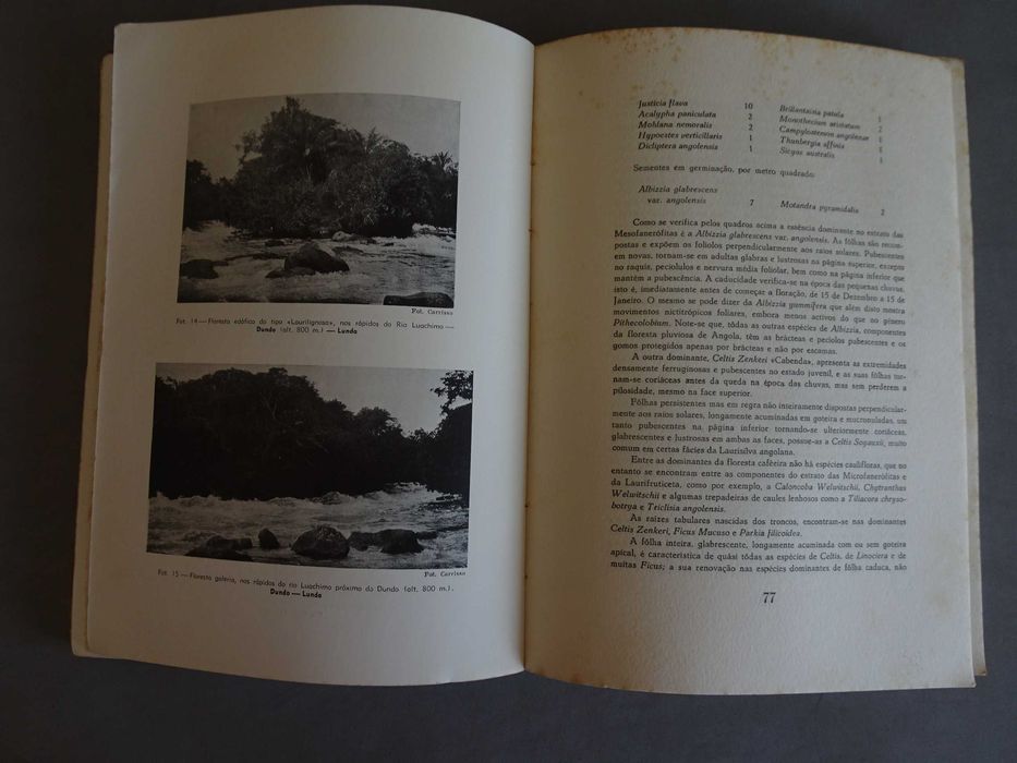 Livro Carta Fitogeográfica de Angola 1939 República Portuguesa Ministério das Colónias