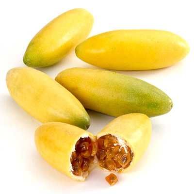 5 Sementes de Maracujá Banana Curuba - Passiflora mollissima
