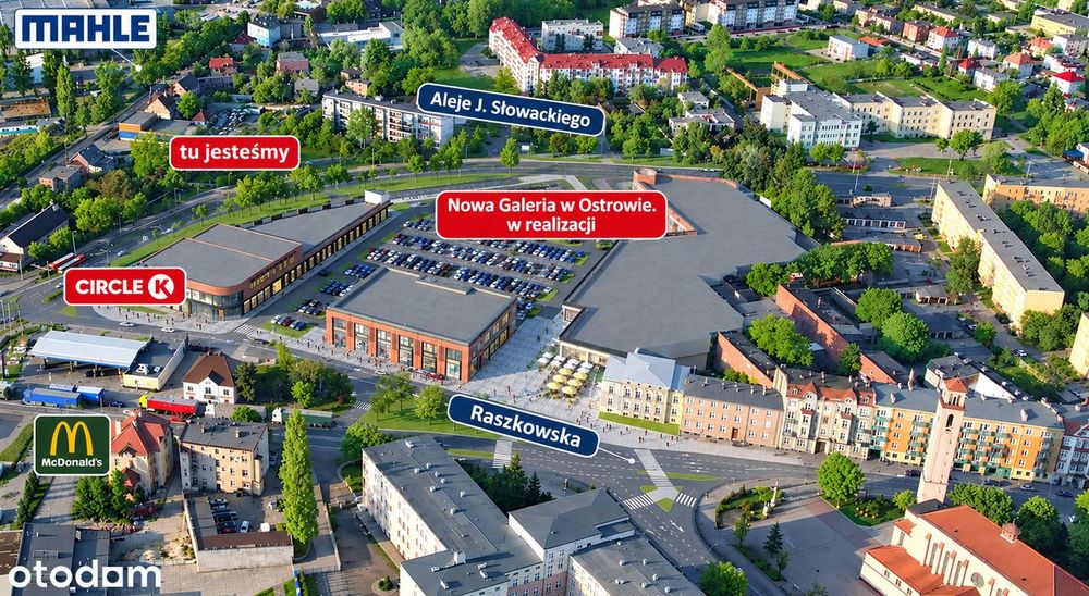 Firma gabinet biuro magazyny na wynajem
