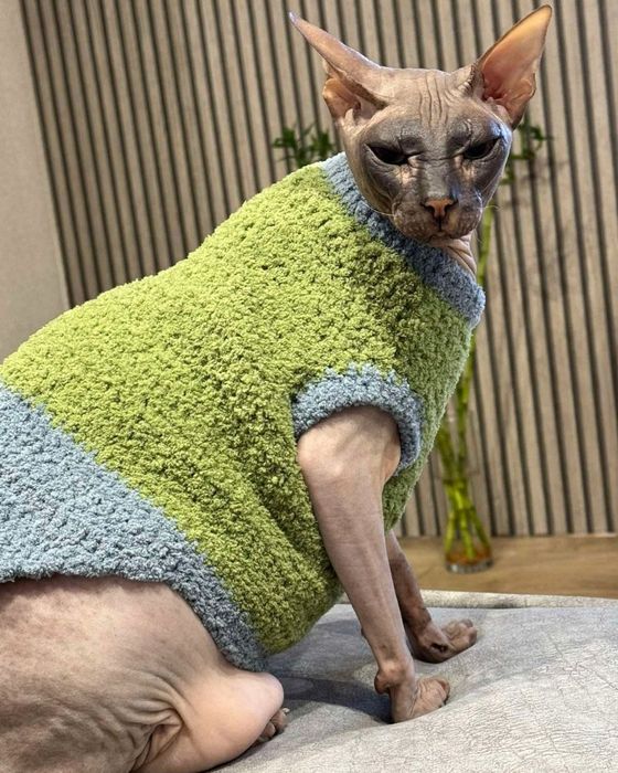 Плюшевая одежда,  свитера для котов, кошек, котят, собак, сфинксов