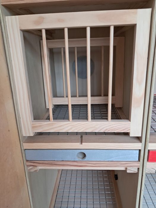 Casulos à medida para pombos