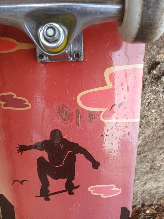 Skate Toys'R'Us usado