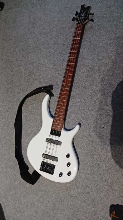 Gitara Basowa Epiphone Toby Standard IV AW + Wzmacniacz Warwick BC10 + Pasek