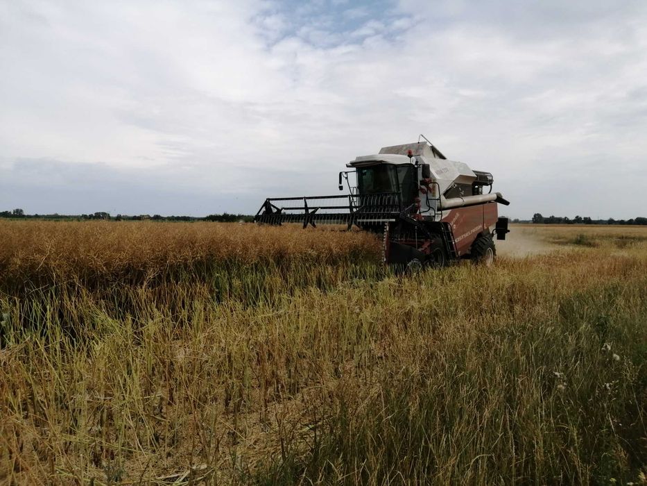 Usługi rolnicze: siew strip till, koszenie, wapnowanie, opryski i inne