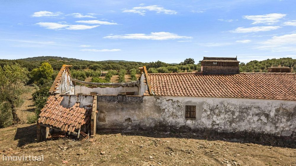 Herdade Com 5,9 Hectares, Moradia E Cavalariça | Santiago Do Escoural