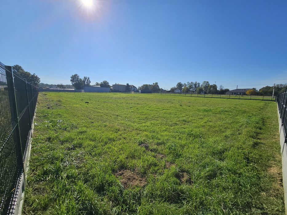 Ogrodzona działka 3600 m² na wynajem - Widok 5