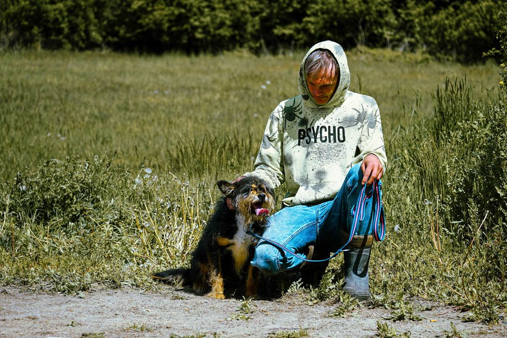 Zulus - mały, kudłaty piesek