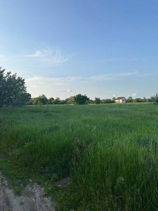 Продам земельну ділянку на першій лінії річки Десна!