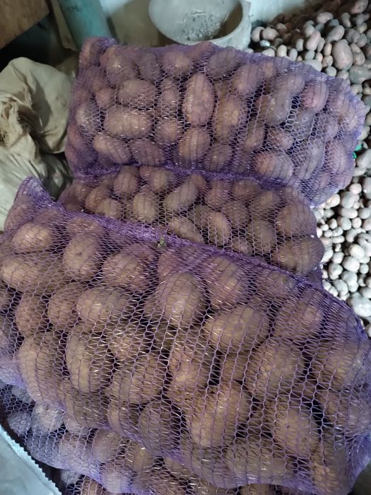 Картопля  без хіміїї