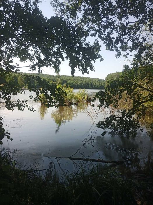 Продається земельна ділянка в Майдан-Чапельский