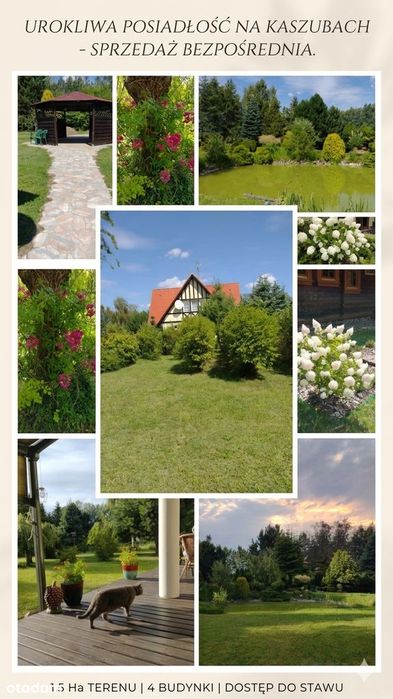 Wyjątkowa Osada Rodzinna, Kaszuby, 3 Domy, Drewniany Dom Biesiadny