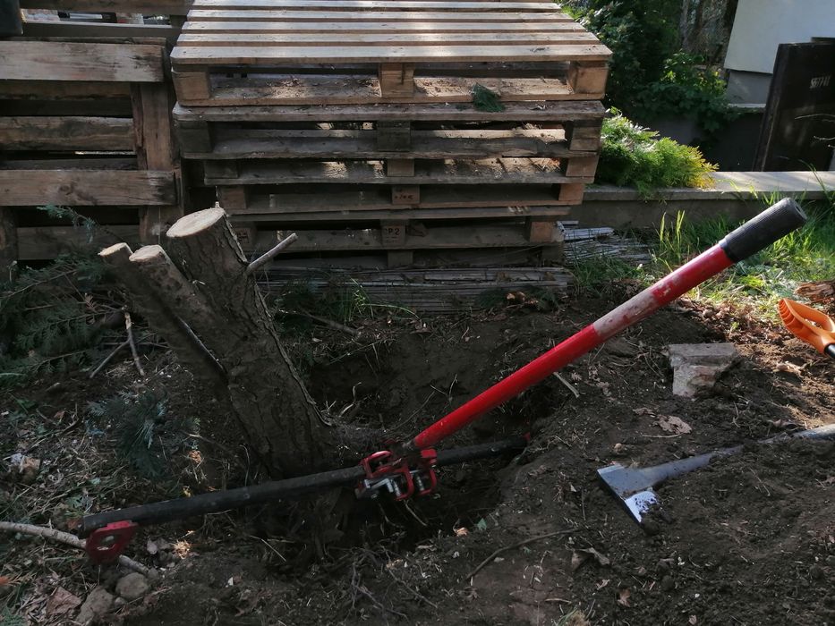 Wycinka drzew I krzewow  Oczysz dzialek zrebkowanie minkopark ogrodnik